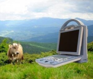 KX5600V Vet Ultrasound Machine