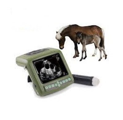 Full digital Mechanical Sector ultrasonic diagnostic instrument