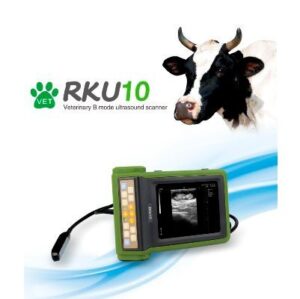 RKU10 Big Animal Veterinary Ultrasound Scanner
